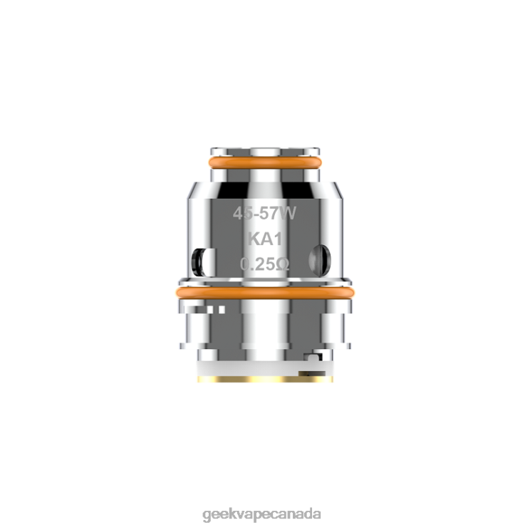 Z0.25 (DUAL) OHM - GEEKVAPE factory 5pcs/Pack Z Series Coil PZ46T5 GeekVape