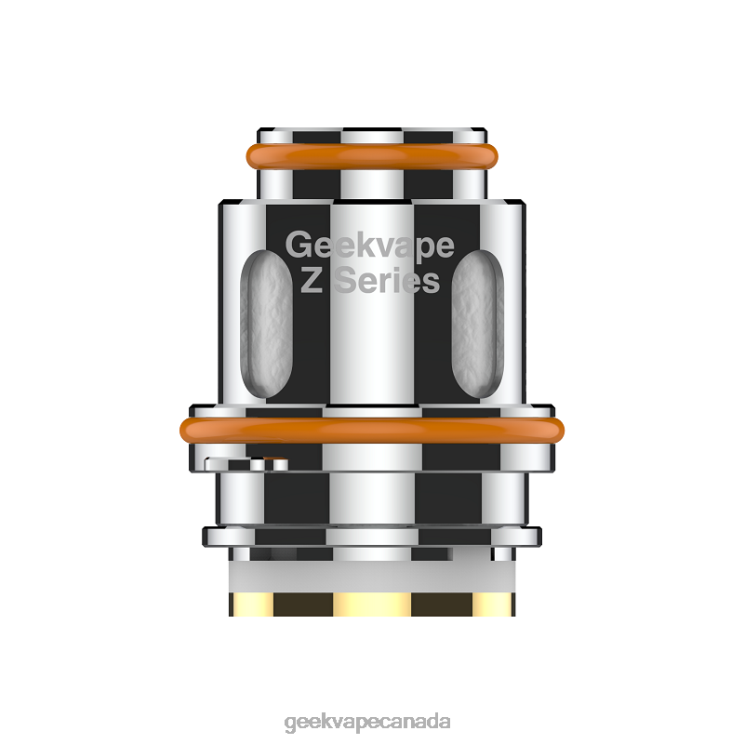 Z0.25 (DUAL) OHM - GEEKVAPE factory 5pcs/Pack Z Series Coil PZ46T5 GeekVape