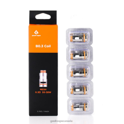 B0.3 OHM - GEEKVAPE discount 5pcs/Pack B Series Coil PZ46T8 GeekVape